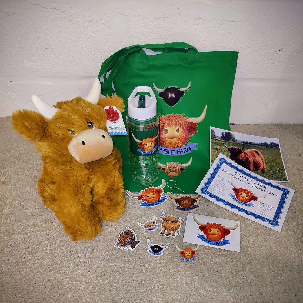 CURRAC Highland Cow Experiences Highland cow sponsorship Dumble Farm, Arram